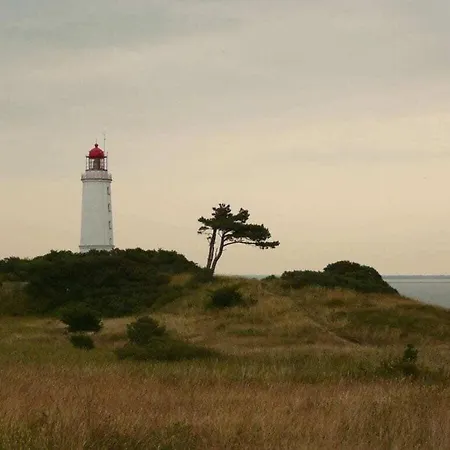 Elysium 1 Comfortable Holiday home Sellin (Rugen)