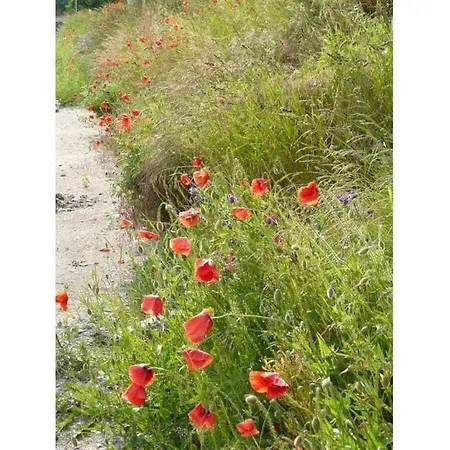 Holiday home Elysium 1 Comfortable