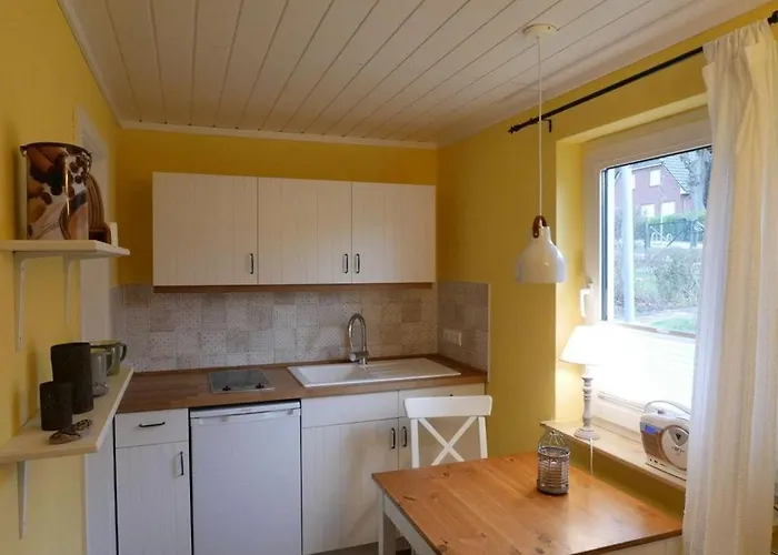 Elysium 1 Comfortable *