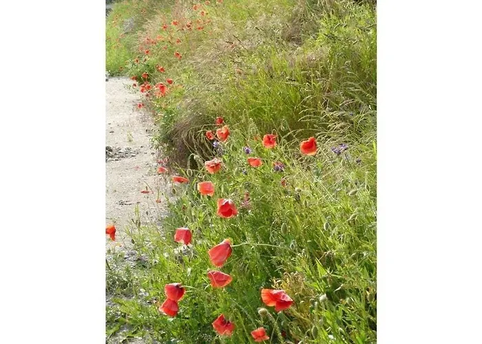 Hébergement de vacances Elysium 1 Comfortable