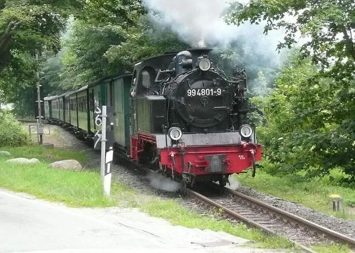 Hébergement de vacances Elysium 1 Comfortable Sellin (Rugen)